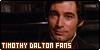 :icontimothydalton-fans: