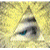 :icontimpeters: