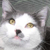 :icontimpossible: