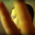 :icontimsedd: