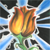 :icontimz89: