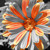 :icontina1616jones: