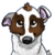 :icontinaelder16:
