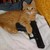 :icontincho1991: