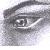 :icontindarien: