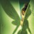 :icontinker-bell33: