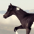 :icontinkerhorse: