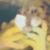 :icontinkersally: