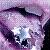 Tinkrbel2469 :icontinkrbel2469: