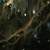 :icontinkthespike: