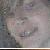 :icontinni: