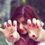 :icontinnka1dream: