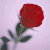 :icontinnzy: