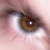 :icontintavisual: