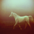 :icontinted-premonition: