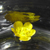 :icontiny-feet: