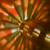 :icontiny-martian: