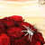 :icontinywightspider: