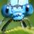 :icontioedbob: