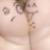 :icontippysingleton: