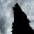 :icontirith-nightly: