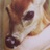 :icontisums:
