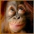 :iconTitanart: