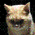:icontitanic1912: