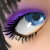 :icontitoiseau: