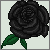 :icontiz85: