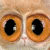 :icontizzysangel: