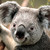 tjb123456 :icontjb123456: