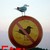 :icontjocksteffe: