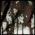 :icontkatodesigns: