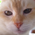 :icontkfury: