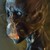 :icontking0517: