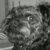 :icontkshredder: