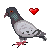 :icontlexis: