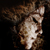 :icontlloydphotography: