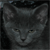 :icontmc748: