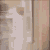 :icontmfox: