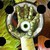 :icontmzee: