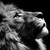 TNTraek24 :icontntraek24: