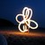 :icontntriquet: