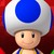 :icontoadbirgade64: