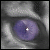 :icontoadstool-tic: