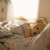 :icontoast-pan98: