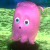 :icontoasternoris: