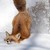 :icontobi-teh-great:
