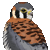 :icontobianopaintluvr:
